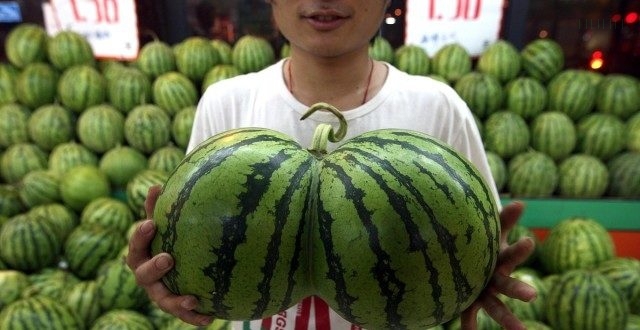 瓜果蔬菜换房背后的房企促销尴尬：至少22城要求不得随意降价