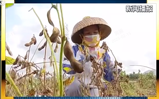  新闻1+1丨加快建设农业强国，从“一号文件”开始！ 
