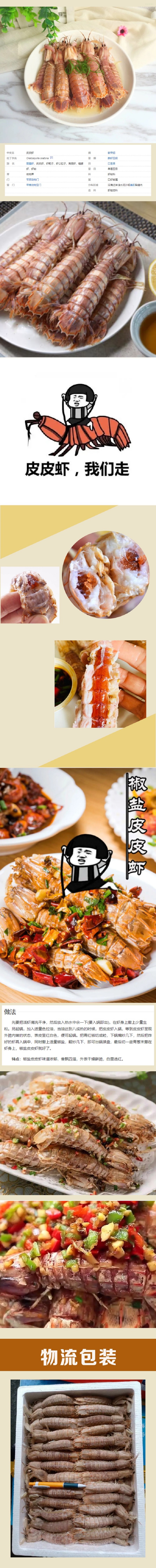 皮皮虾长图1.jpg