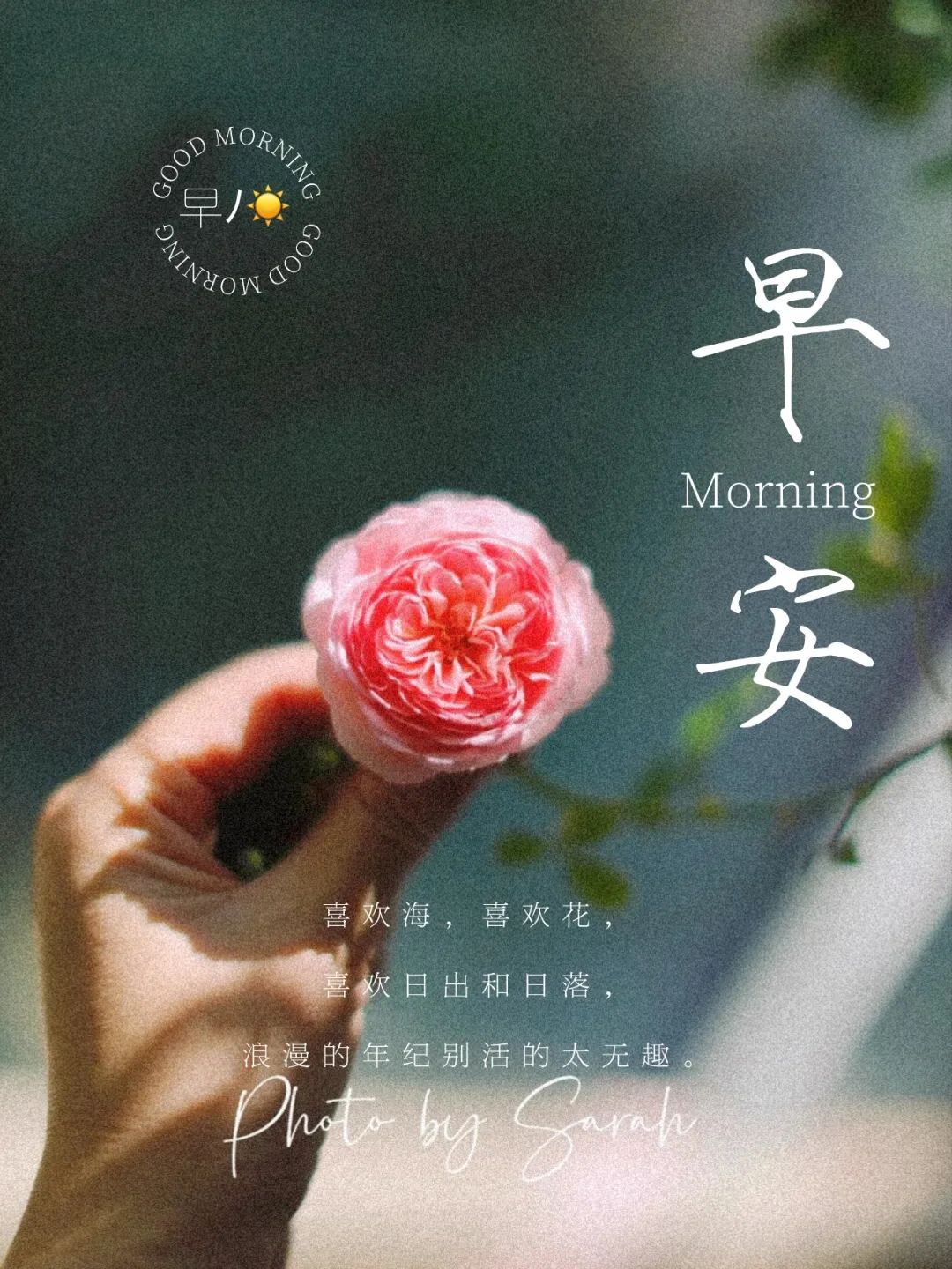 “˗ˋˏ早安朋友圈文案ˎˊ˗²⁰²⁴/₁₂.₂₉：周末没有文案，只有快乐”