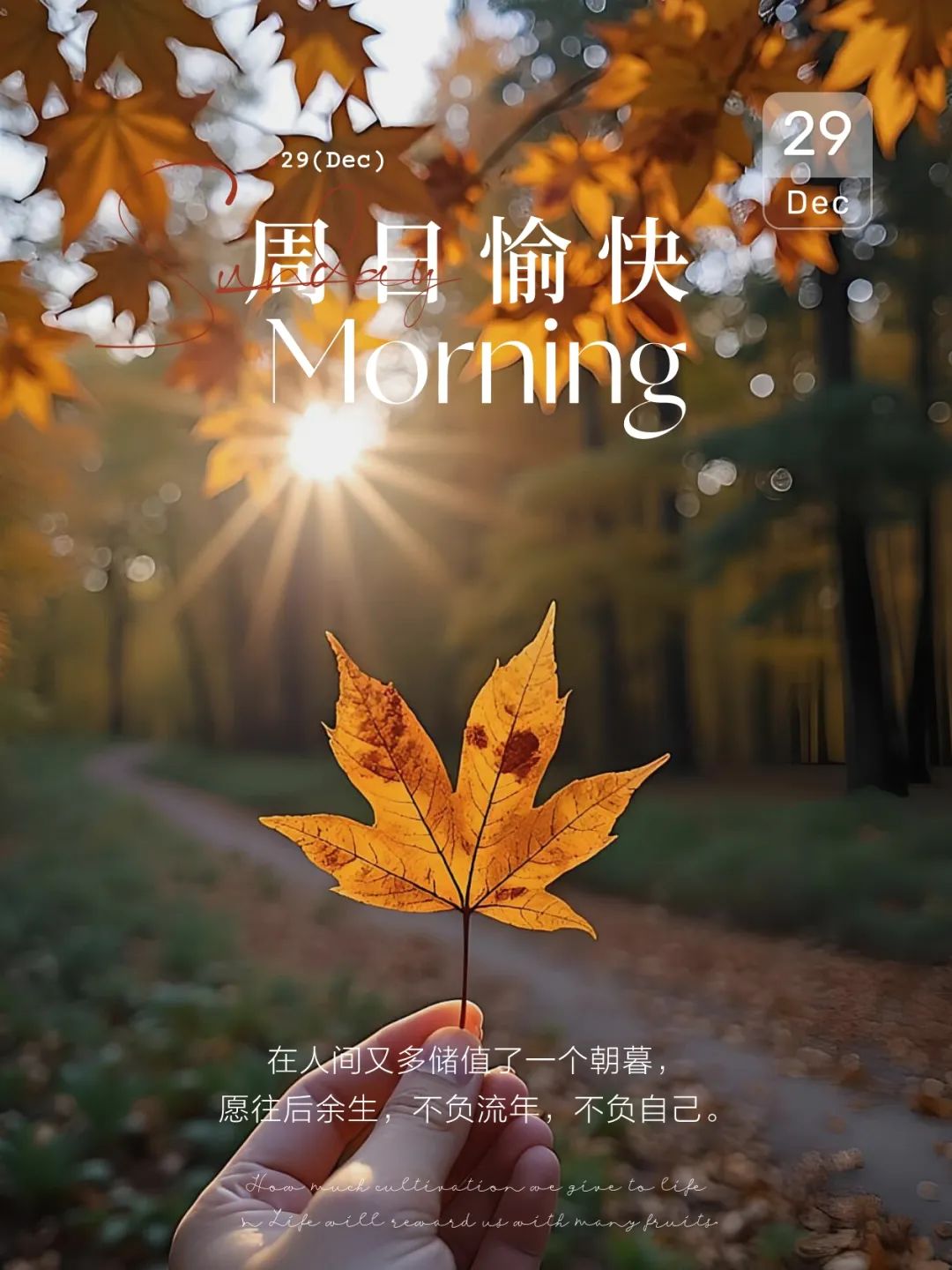 “˗ˋˏ早安朋友圈文案ˎˊ˗²⁰²⁴/₁₂.₂₉：周末没有文案，只有快乐”