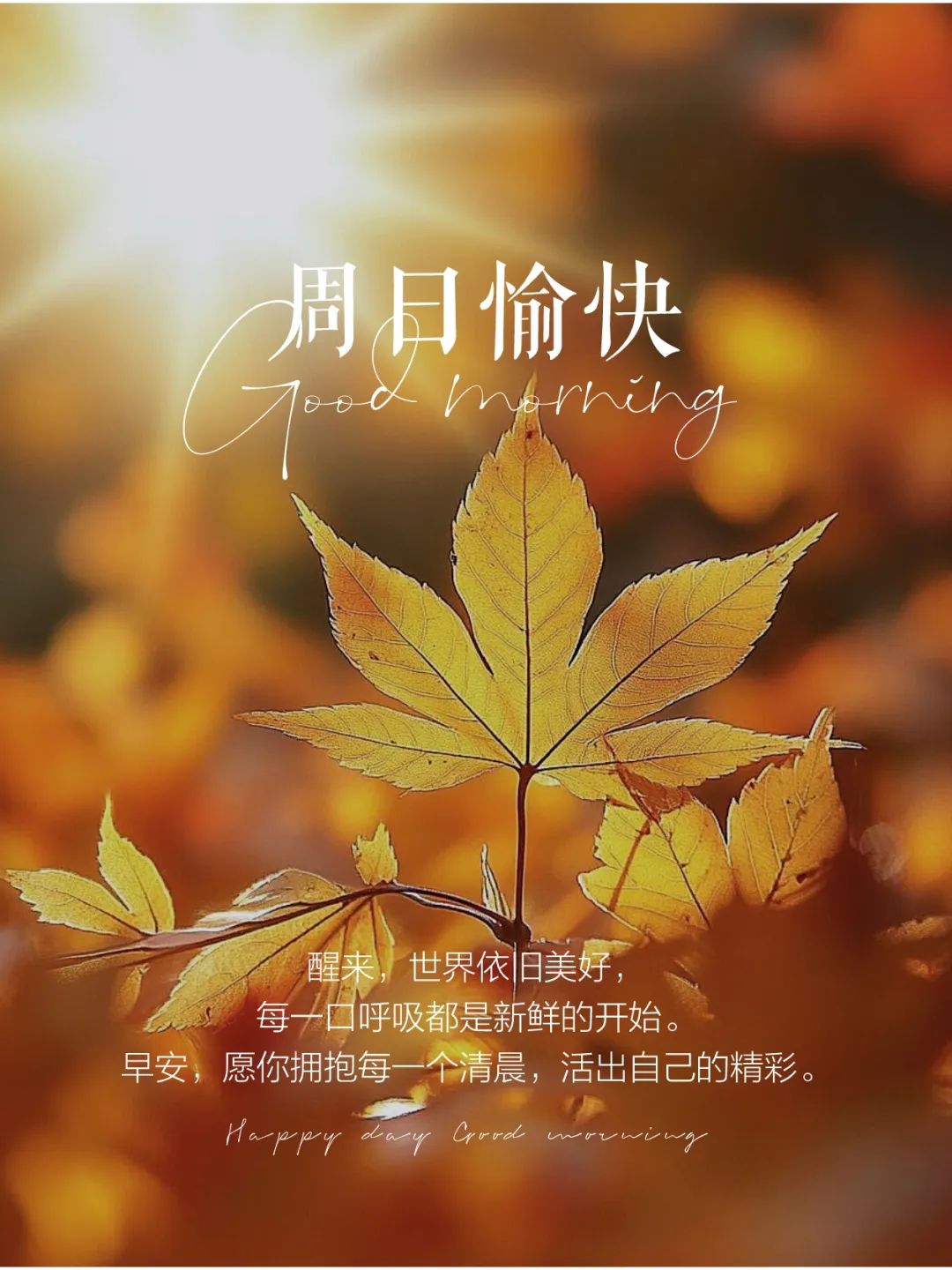 “˗ˋˏ早安朋友圈文案ˎˊ˗²⁰²⁴/₁₂.₂₉：周末没有文案，只有快乐”