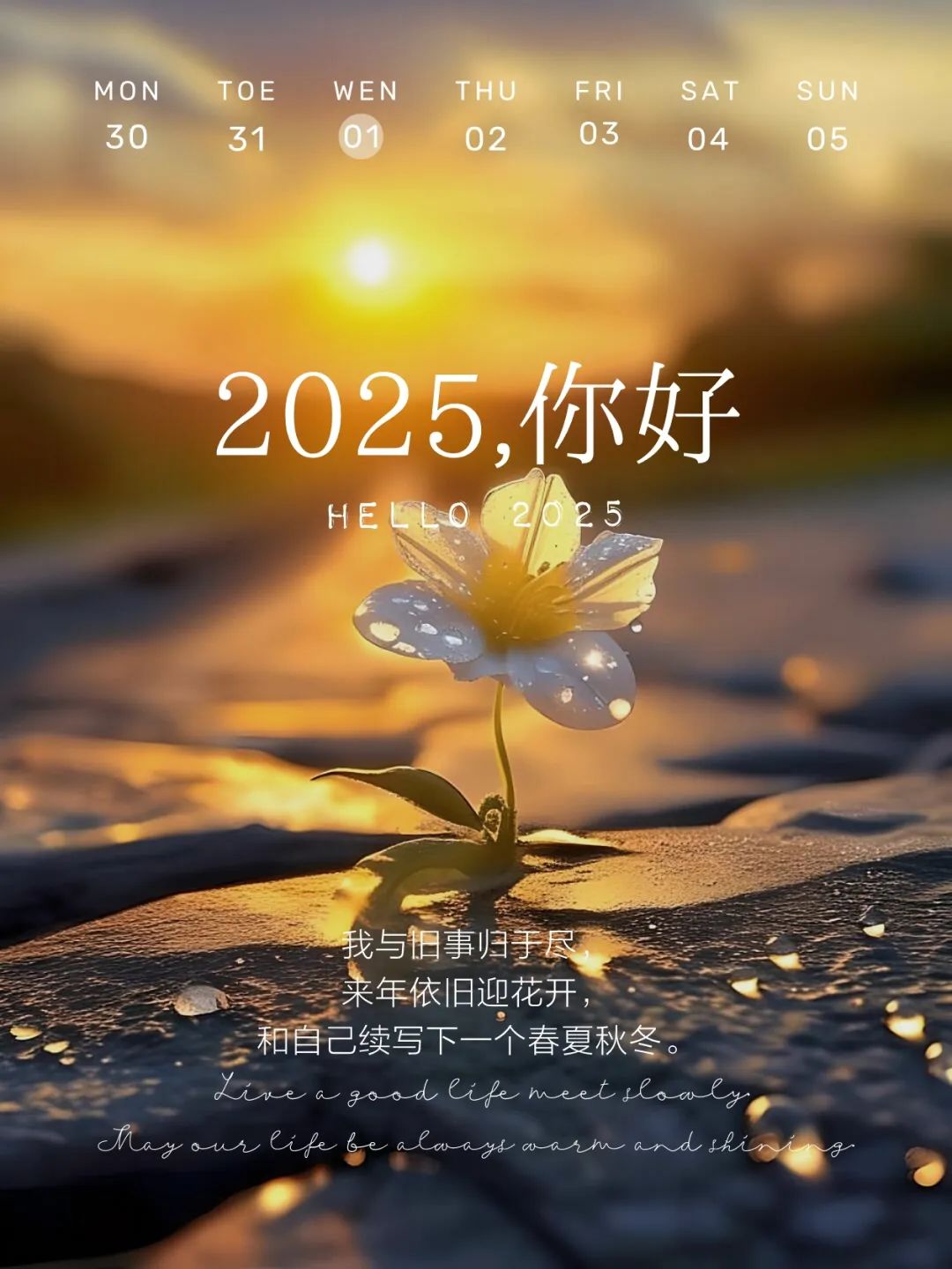“2025年第一天，发条不一样的朋友圈，2025，你好呀！”