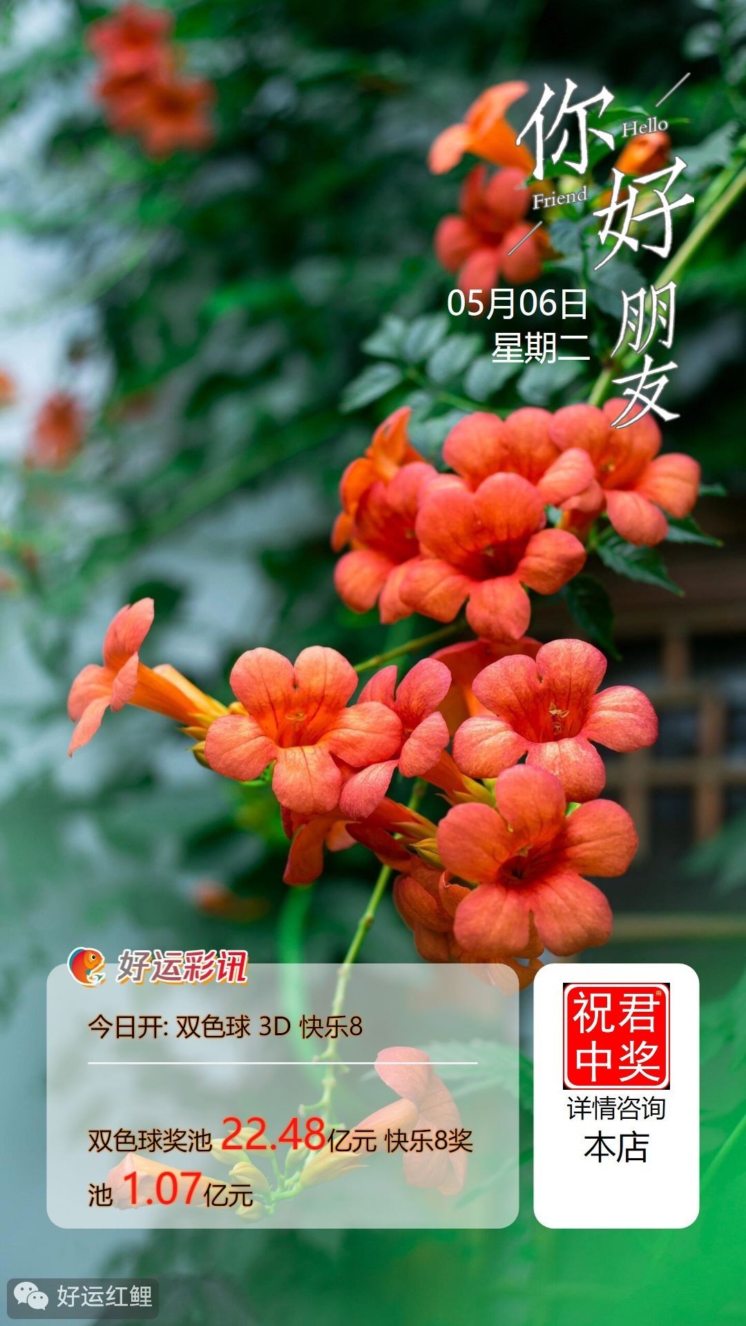 5月6日周二向快乐8出发，走好每一段成长的路途，  在前行，在收获，在蜕变。  美好的一天从拼搏开始， 不荒废每一个崭新的清晨。  愿你的坚持，终与成功相拥。